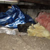 A crawl space filled with loose insulation, debris, and a large tarp in Livermore.