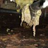 Fiberglass insulation dripping off a pipe in Watsonville.