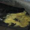 Disintegrated fiberglass insulation sitting in a pool of water in Pittsburg.