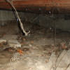 A crawl space with spiderwebs, mold, and uneven floors in Antioch.