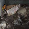 A rotting box sitting on a rock in a crawl space in Richmond.