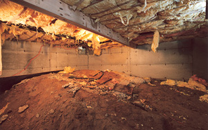 Crawl Space Vents in California cause extreme moisture problems