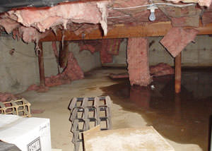 Fiberglass dripping off of the ceilings of a San Jose crawl space