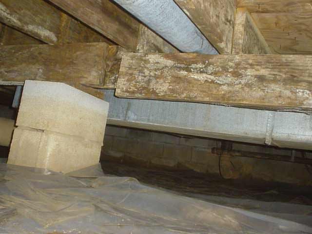 Under Home Mold Control in San Francisco