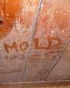 The word mold written with a finger on a moldy wood wall in Sunnyvale