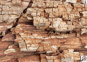 Dry rot damage on wood in Santa Cruz
